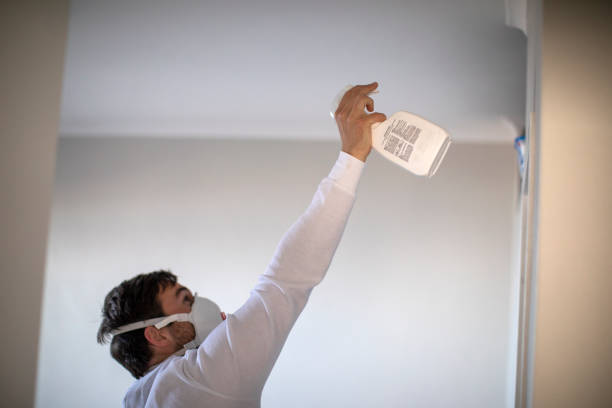 Best Office Mold Removal Services  in Ringgold, LA